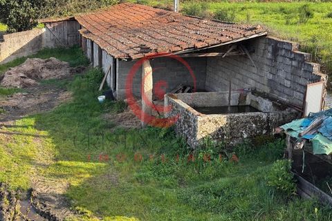 Villa i Chaves, Vila Real, Chaves - € 87.998 | Ref: CM01-0103 - foto 42