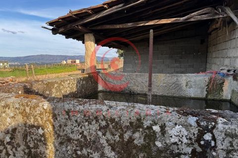 Villa i Chaves, Vila Real, Chaves - € 87.998 | Ref: CM01-0103 - foto 45