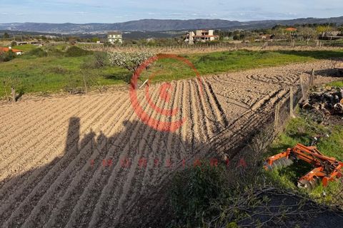 Villa i Chaves, Vila Real, Chaves - € 87.998 | Ref: CM01-0103 - foto 46