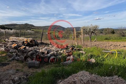 Villa i Chaves, Vila Real, Chaves - € 87.998 | Ref: CM01-0103 - foto 50