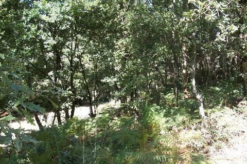 Helårsgrund i Vila do Conde, Porto, Vila do Conde - € 250.000 | Ref: 240-T-24450 - foto 8