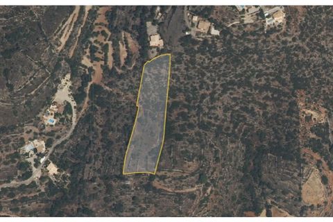 Helårsgrund i Estoi, Faro, Estoi - € 42.500 | Ref: TER_2285_VEND - foto 2