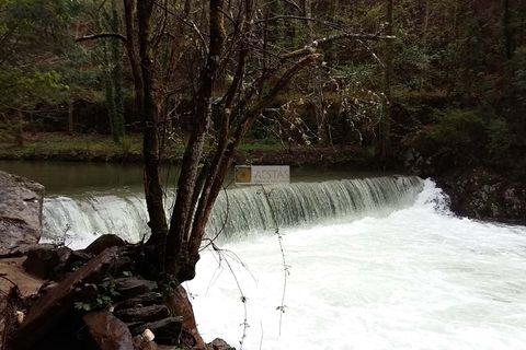 Terra a Arouca, Aveiro, Arouca - € 600.000 | Ref: D40015 - foto 3