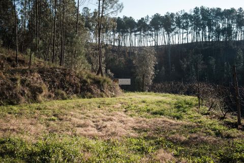 Terra a Arouca, Aveiro, Arouca - € 600.000 | Ref: D40015 - foto 10