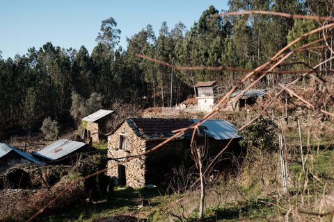 Terra a Arouca, Aveiro, Arouca - € 600.000 | Ref: D40015 - foto 11