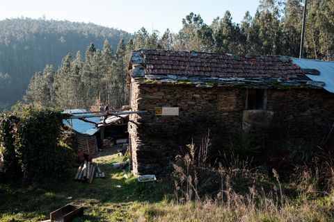 Terra a Arouca, Aveiro, Arouca - € 600.000 | Ref: D40015 - foto 14