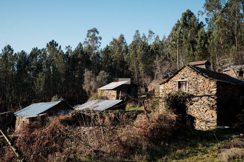 Terra a Arouca, Aveiro, Arouca - € 600.000 | Ref: D40015 - foto 16