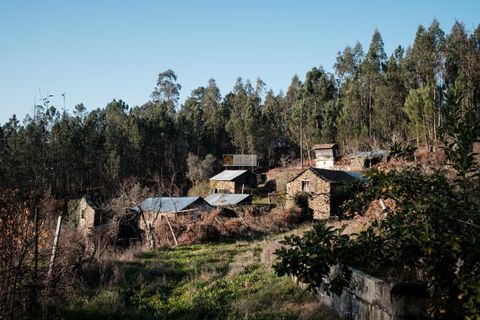 Terra a Arouca, Aveiro, Arouca - € 600.000 | Ref: D40015 - foto 18