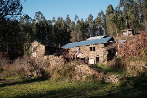 Terra a Arouca, Aveiro, Arouca - € 600.000 | Ref: D40015 - foto 20