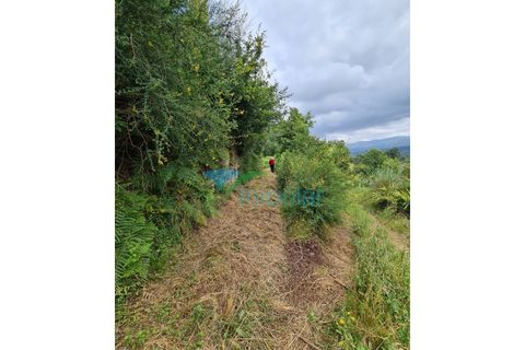 Helårsgrund i Valenca, Viana do Castelo, Valenca - € 8.000 | Ref: SÒL_2207 - foto 2