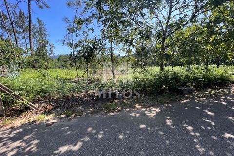 Helårsgrund i Valenca, Viana do Castelo, Valenca - € 60.000 | Ref: F773 - foto 1