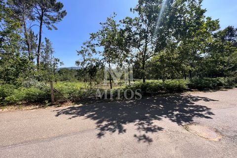 Helårsgrund i Valenca, Viana do Castelo, Valenca - € 60.000 | Ref: F773 - foto 2