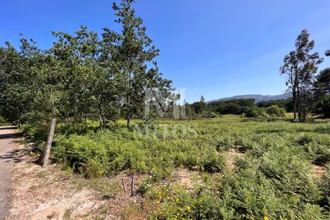 Helårsgrund i Valenca, Viana do Castelo, Valenca - € 60.000 | Ref: F773 - foto 8