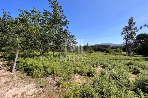 Helårsgrund i Valenca, Viana do Castelo, Valenca - € 60.000 | Ref: F773 - foto 9