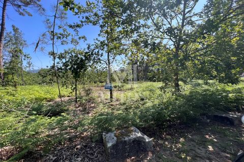 Helårsgrund i Valenca, Viana do Castelo, Valenca - € 60.000 | Ref: F773 - foto 10