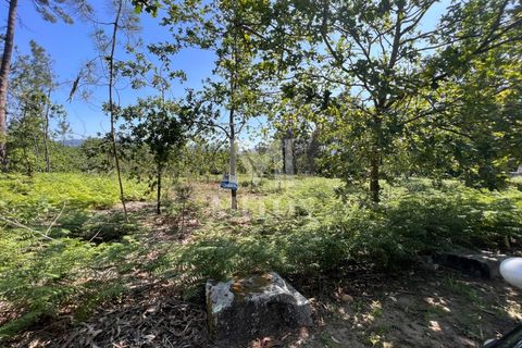Helårsgrund i Valenca, Viana do Castelo, Valenca - € 60.000 | Ref: F773 - foto 11
