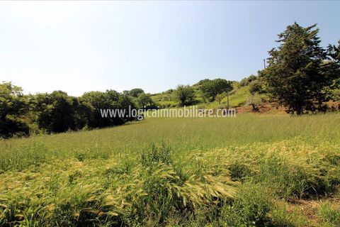 Farm hus i Chiusi, Siena, Chiusi - € 400.000 | Ref: CA577 - foto 3