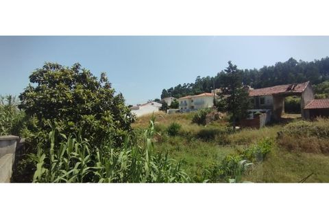Helårsgrund i Coimbra, Coimbra, Coimbra - € 90.000 | Ref: 15395 - foto 2