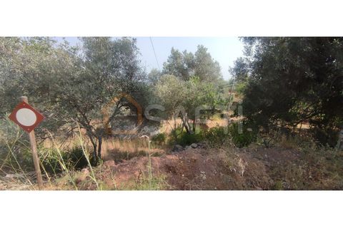Helårsgrund i Alte, Faro, Alte - € 180.000 | Ref: SAFTI:003830 - foto 4