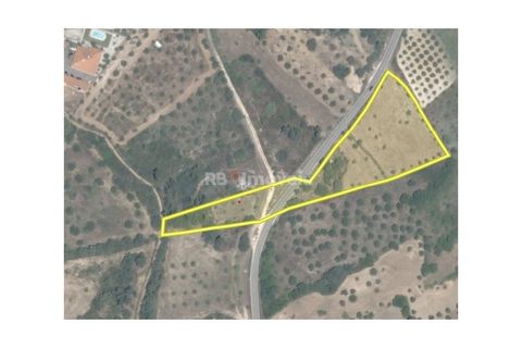 Helårsgrund i Olaia e Paco, Santarem, Olaia e Paco - € 20.000 | Ref: 00932-23 - foto 3