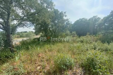 Helårsgrund i Olaia e Paco, Santarem, Olaia e Paco - € 20.000 | Ref: 00932-23 - foto 8