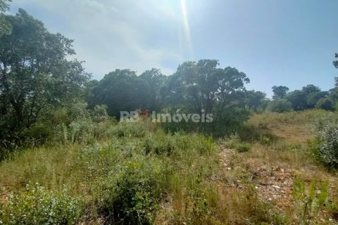 Helårsgrund i Olaia e Paco, Santarem, Olaia e Paco - € 20.000 | Ref: 00932-23 - foto 9