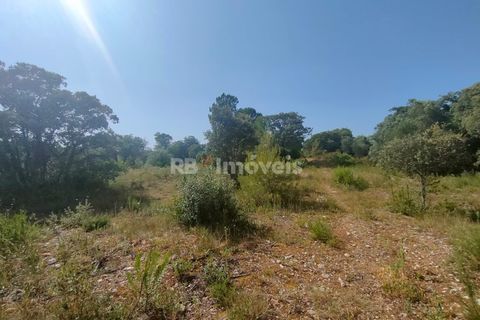 Helårsgrund i Olaia e Paco, Santarem, Olaia e Paco - € 20.000 | Ref: 00932-23 - foto 7