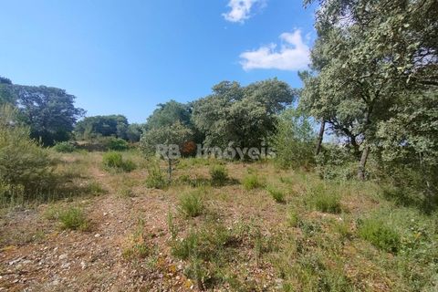 Helårsgrund i Olaia e Paco, Santarem, Olaia e Paco - € 20.000 | Ref: 00932-23 - foto 10
