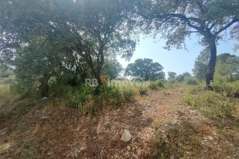Helårsgrund i Olaia e Paco, Santarem, Olaia e Paco - € 20.000 | Ref: 00932-23 - foto 11