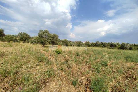 Helårsgrund i Olaia e Paco, Santarem, Olaia e Paco - € 20.000 | Ref: 00932-23 - foto 12