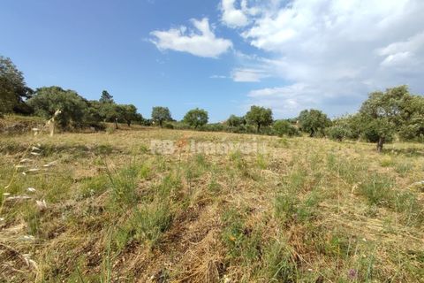 Helårsgrund i Olaia e Paco, Santarem, Olaia e Paco - € 20.000 | Ref: 00932-23 - foto 13