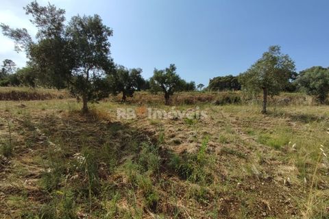 Helårsgrund i Olaia e Paco, Santarem, Olaia e Paco - € 20.000 | Ref: 00932-23 - foto 14