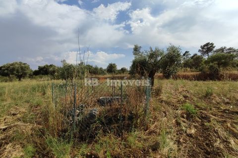 Helårsgrund i Olaia e Paco, Santarem, Olaia e Paco - € 20.000 | Ref: 00932-23 - foto 15