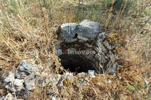 Helårsgrund i Olaia e Paco, Santarem, Olaia e Paco - € 20.000 | Ref: 00932-23 - foto 2