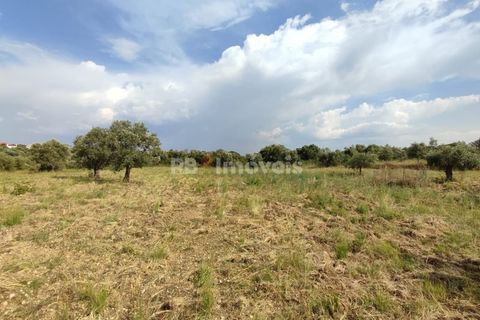 Helårsgrund i Olaia e Paco, Santarem, Olaia e Paco - € 20.000 | Ref: 00932-23 - foto 16