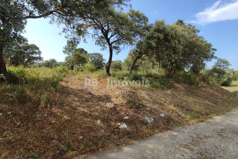 Helårsgrund i Olaia e Paco, Santarem, Olaia e Paco - € 20.000 | Ref: 00932-23 - foto 17
