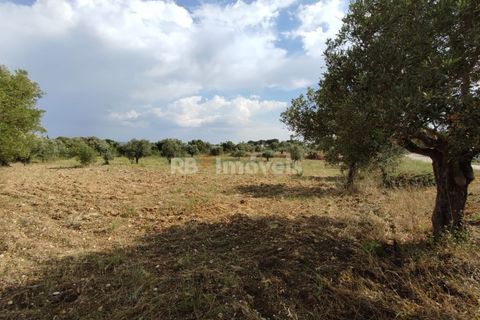 Helårsgrund i Olaia e Paco, Santarem, Olaia e Paco - € 20.000 | Ref: 00932-23 - foto 19