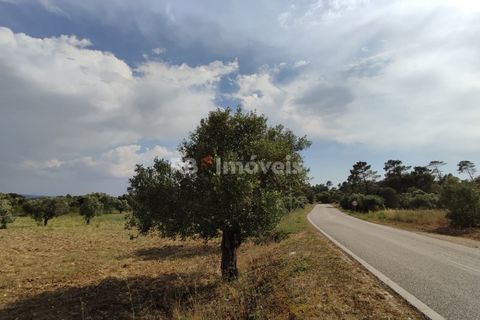 Helårsgrund i Olaia e Paco, Santarem, Olaia e Paco - € 20.000 | Ref: 00932-23 - foto 20