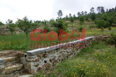 Farm i Mangualde, Viseu, Mangualde - € 215.000 | Ref: 189232144 - foto 2