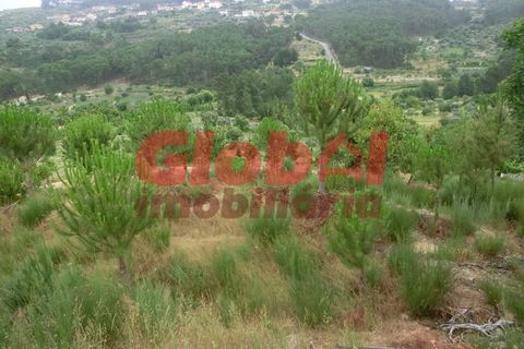 Farm i Mangualde, Viseu, Mangualde - € 215.000 | Ref: 189232144 - foto 5
