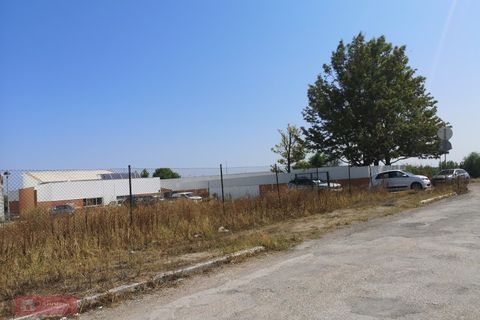 Terra a Samouco, Setubal, Samouco - € 76.500 | Ref: TPH158-03 - foto 2