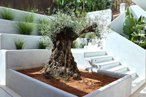 Villa a Cala Moli, Ibiza, Cala Moli - € 5.250.000 | Ref: WE-1942 - foto 4