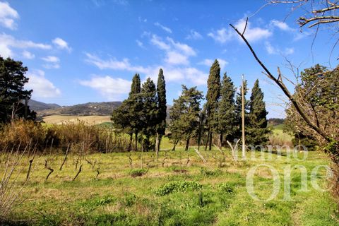 Villa a Collesalvetti, Livorno, Collesalvetti - € 150.000 | Ref: 17007-1 - foto 4