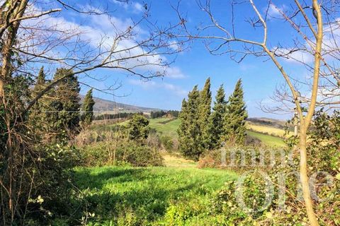 Villa a Collesalvetti, Livorno, Collesalvetti - € 150.000 | Ref: 17007-1 - foto 17