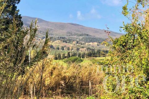 Villa a Collesalvetti, Livorno, Collesalvetti - € 150.000 | Ref: 17007-1 - foto 19