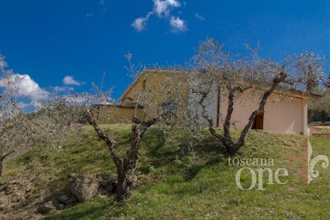 Villa a Chianni, Pisa, Chianni - € 350.000 | Ref: 17299-1 - foto 24