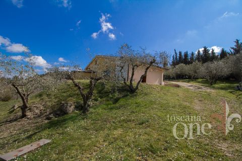 Villa a Chianni, Pisa, Chianni - € 350.000 | Ref: 17299-1 - foto 25