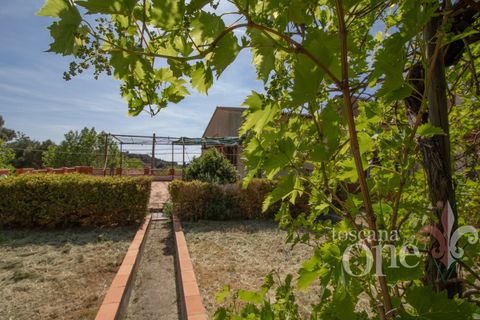 Lejlighed i Santa Luce, Pisa, Santa Luce - € 240.000 | Ref: 17784 - foto 23