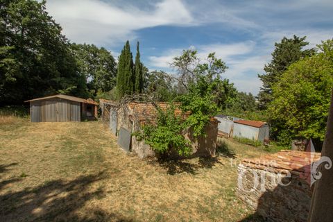 Villa a Chianni, Pisa, Chianni - € 230.000 | Ref: 17795 - foto 15
