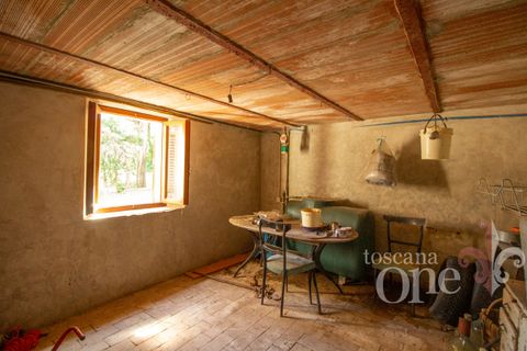 Villa a Chianni, Pisa, Chianni - € 230.000 | Ref: 17795 - foto 16